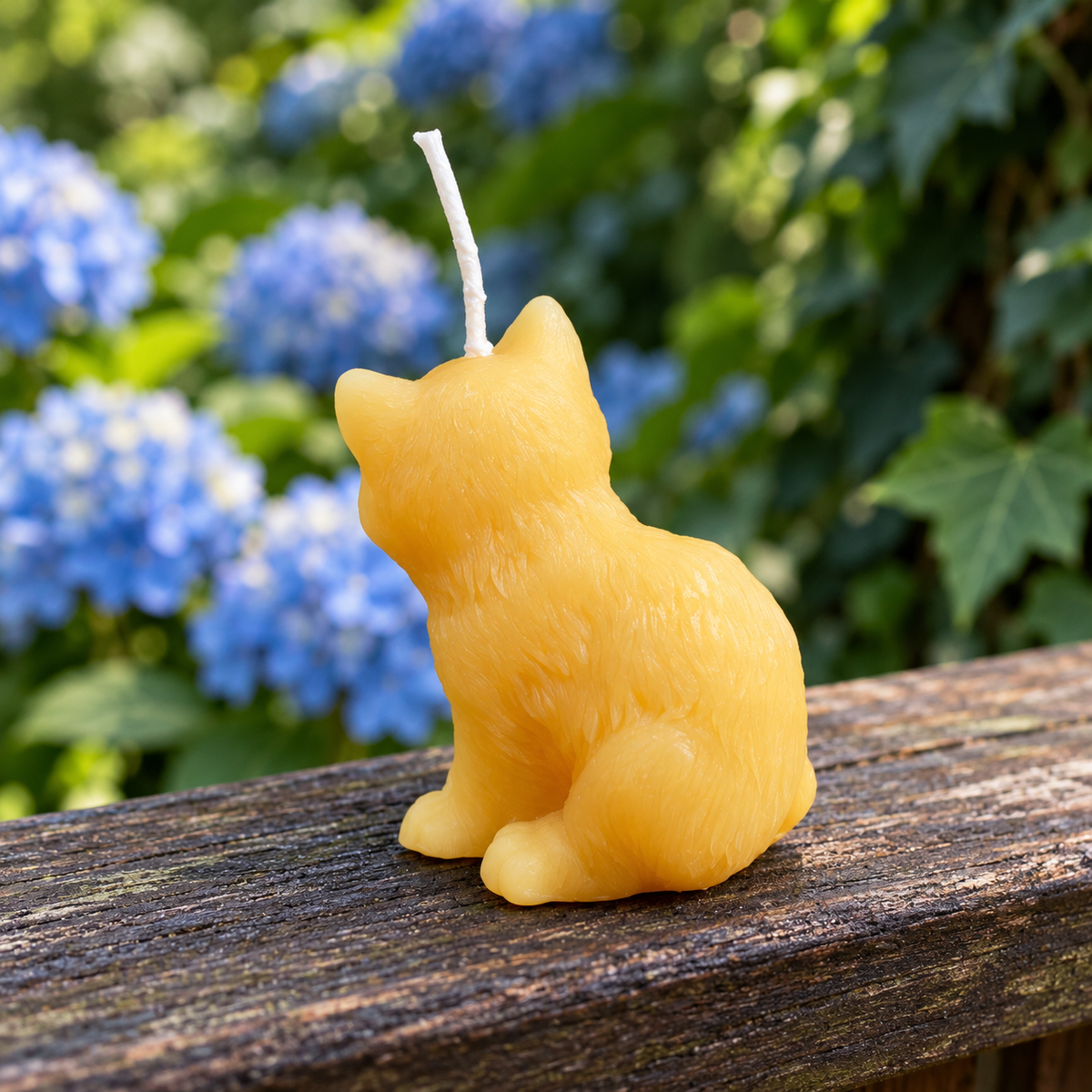 Kitten Beeswax Candle