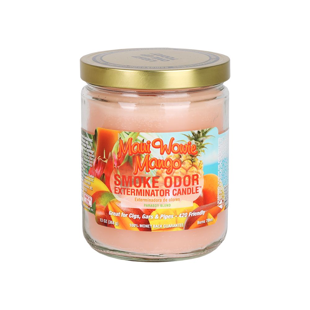 Smoke Odor Exterminator Candle | Year-Round Series | 13oz