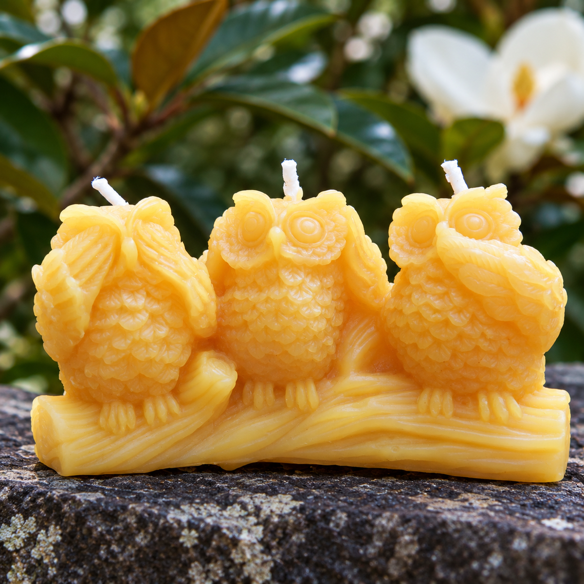 Three Wise Owls Beeswax Candles