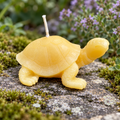 Tortoise Beeswax Candle