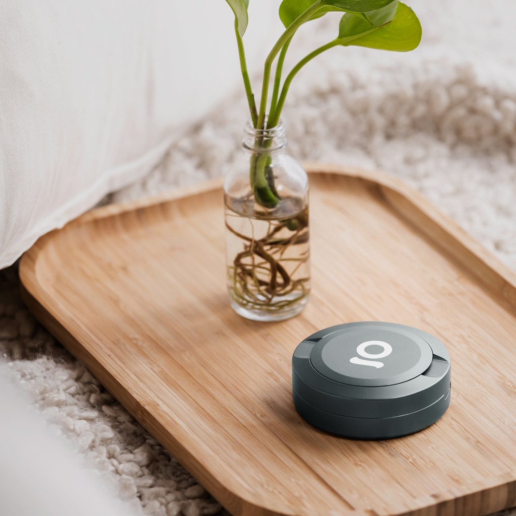 Ongrok - Pouch Storage Puck