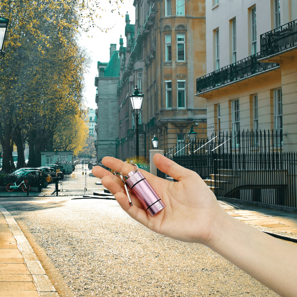Ongrok - Small Storage Keychain