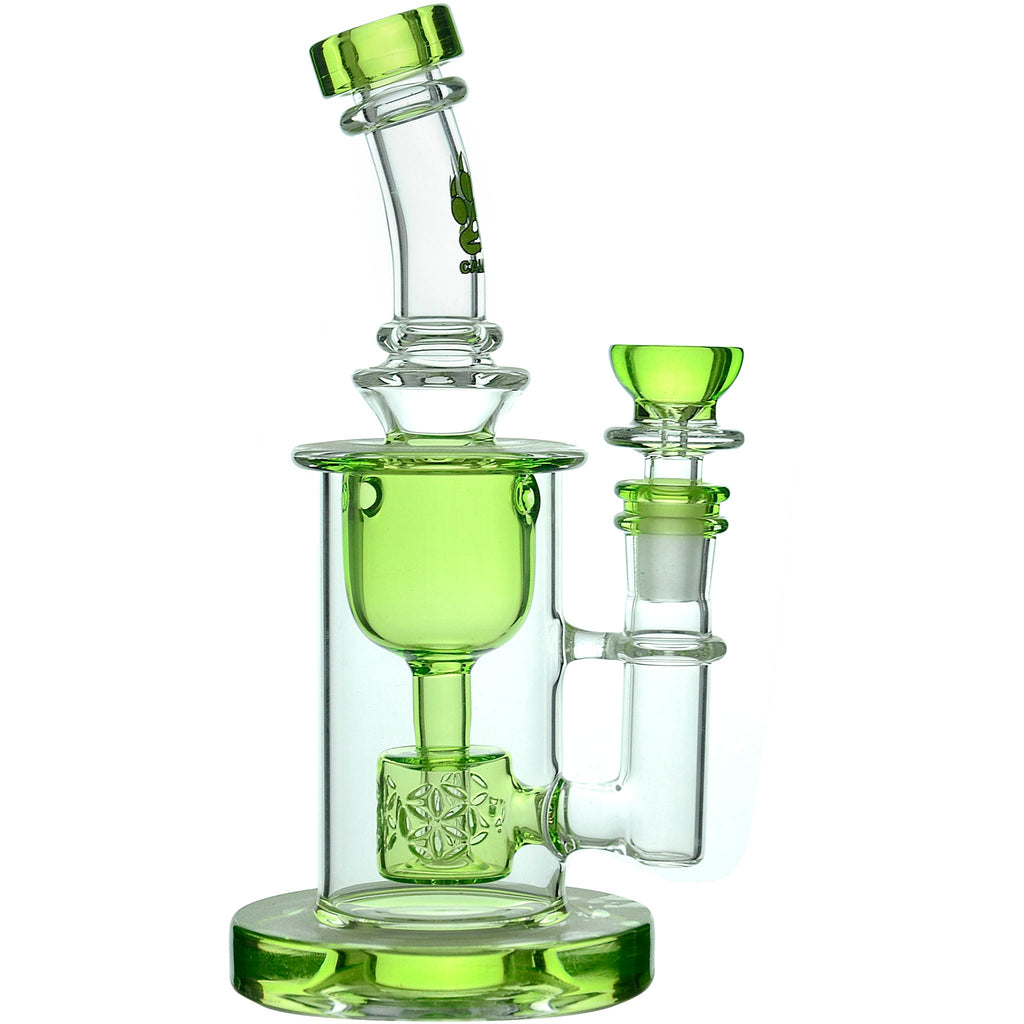 Calibear - Seed Of Life Torus Can Dab Rig