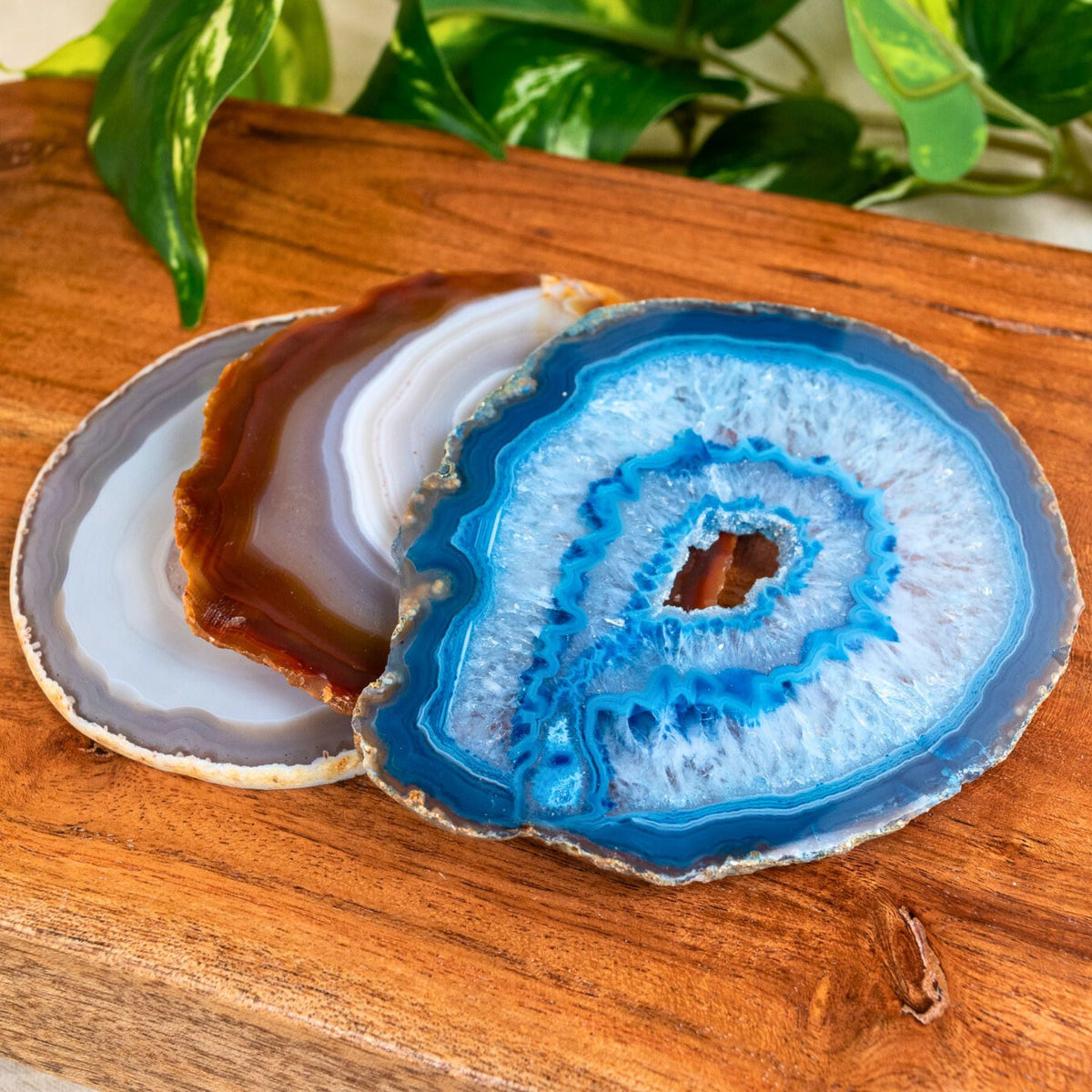 Agate Slices