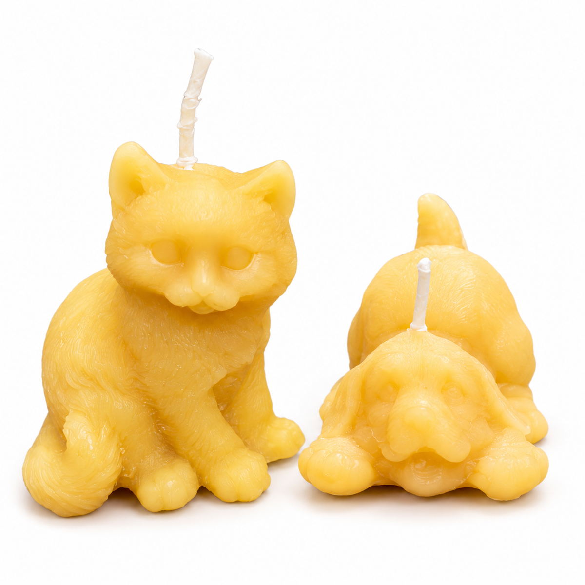 Kitten and Puppy Buddies Beeswax Candle Set