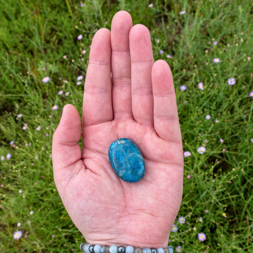 Blue Apatite Palm Stone