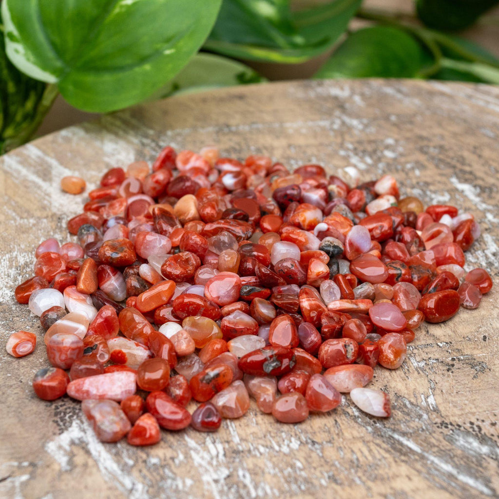Carnelian Crystal Chips 1lb