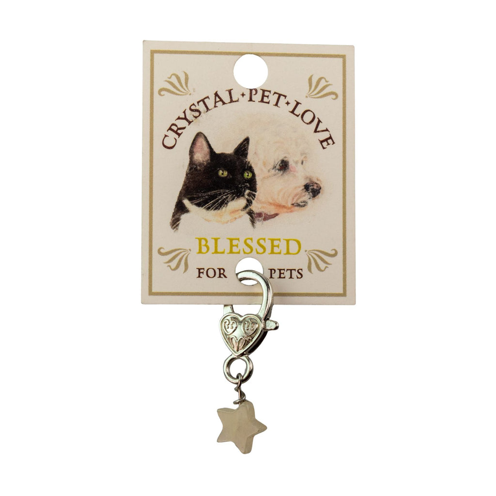 Crystal Star Pet Pendant