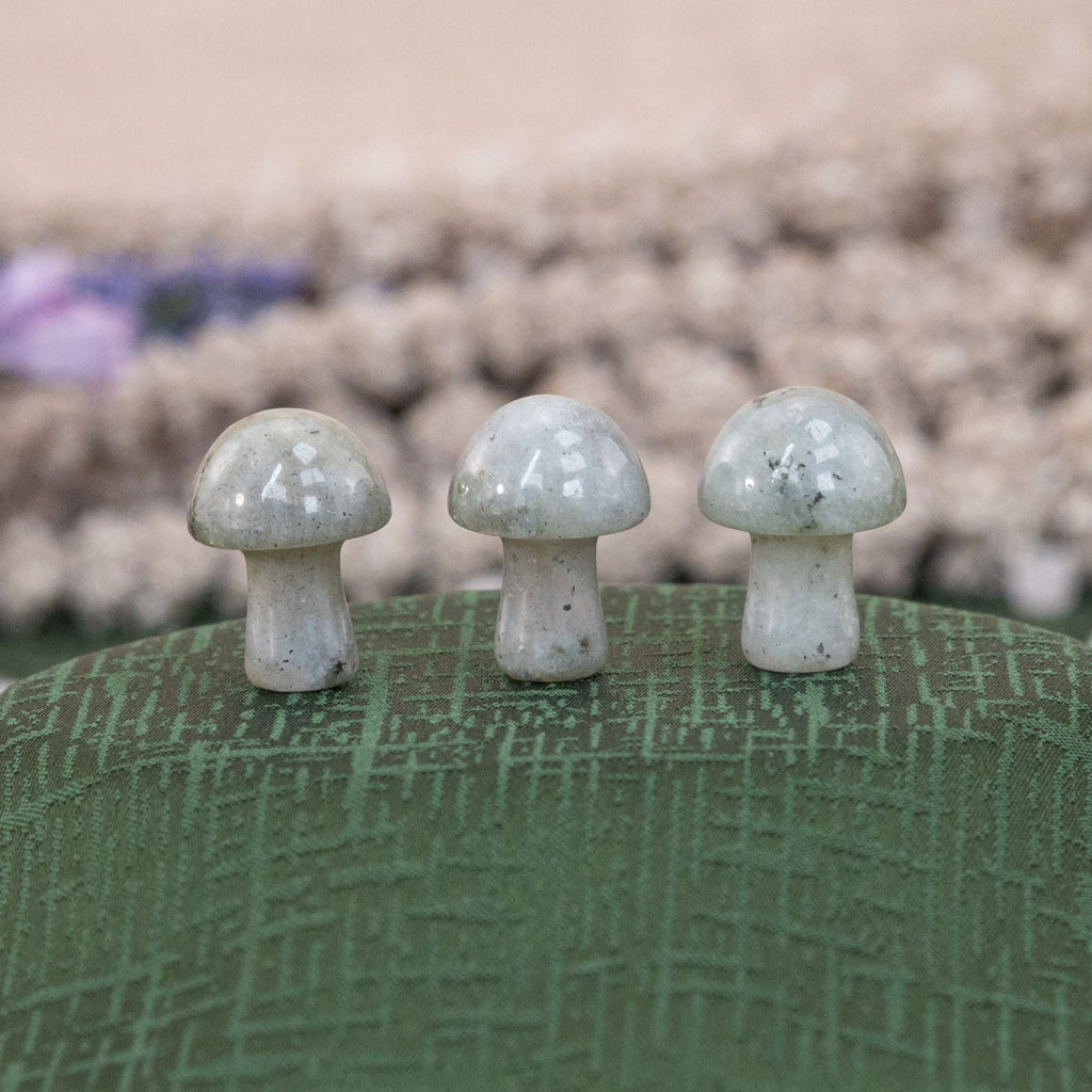 Crystal Mushroom