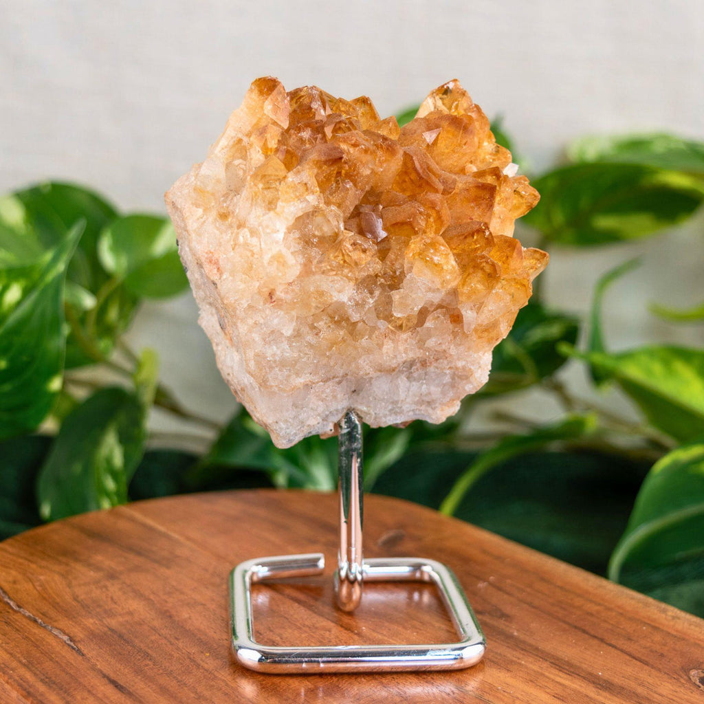 Druze Citrine on Stand