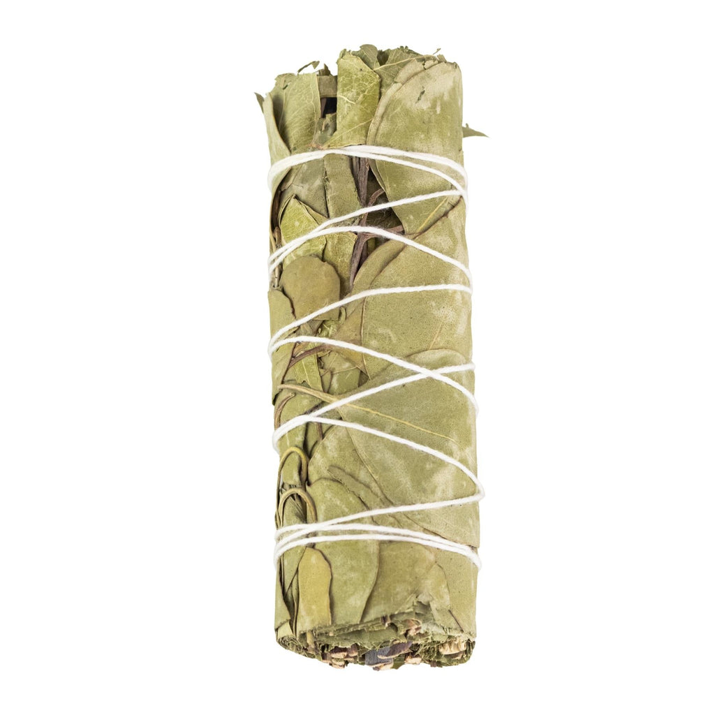 Eucalyptus Smudge Stick