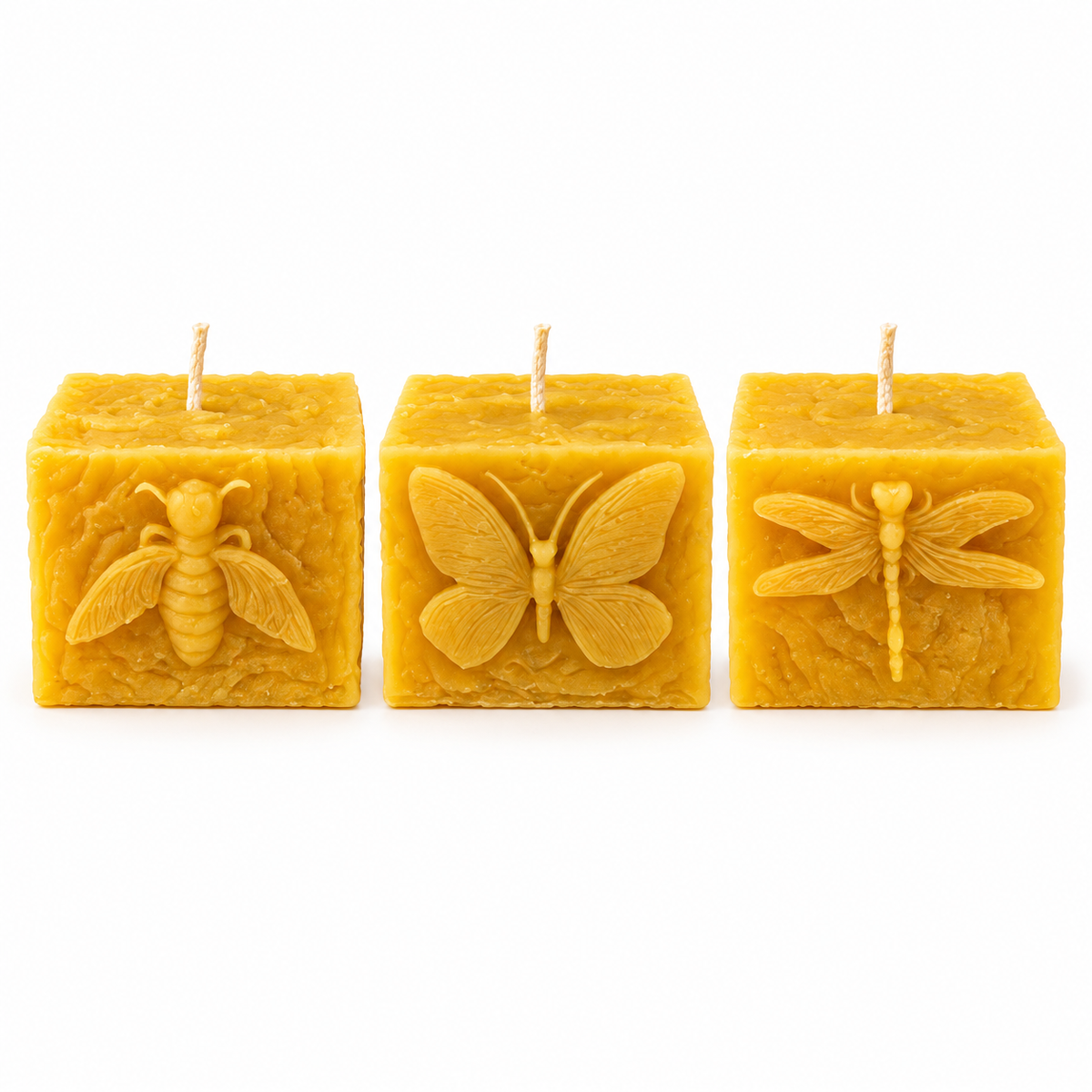 Pollinator Pillar Beeswax Candle Collection