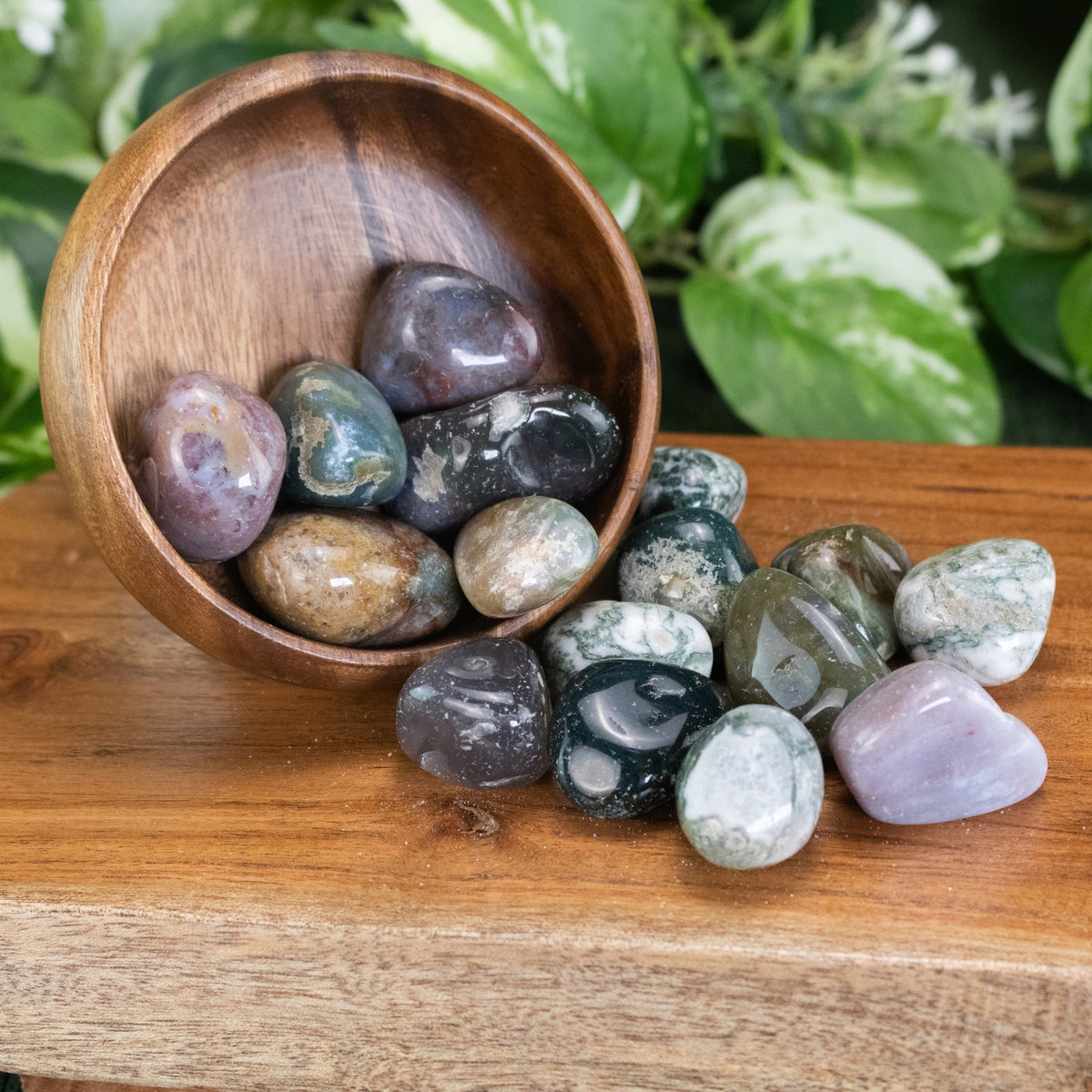 Green Moss Agate Tumbled 1lb