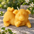 Puppy Dog Giving Paw Beeswax Candle