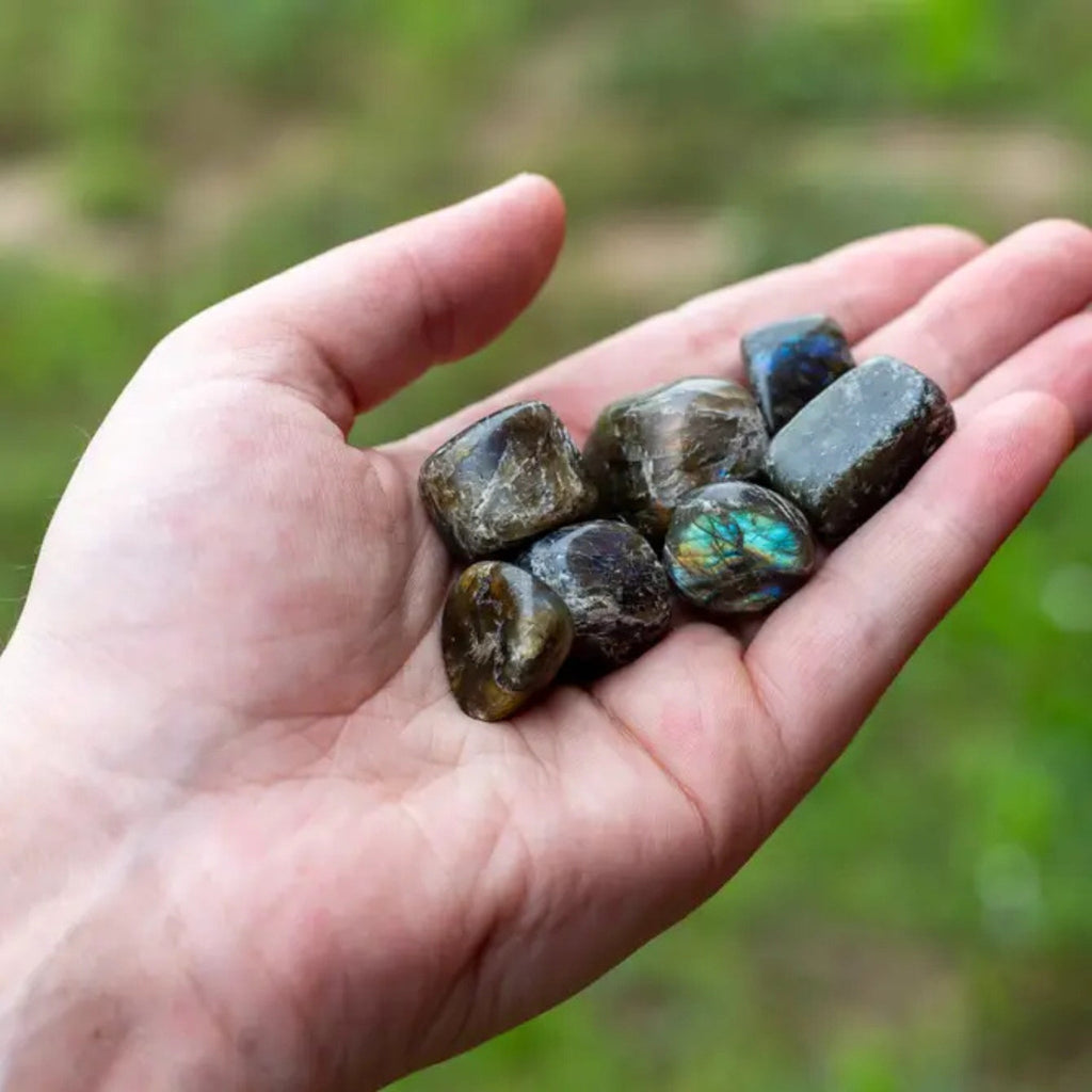 Labradorite Tumbled 1lb