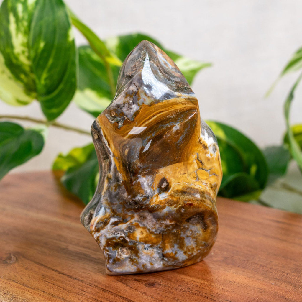 Sea Jasper Flame