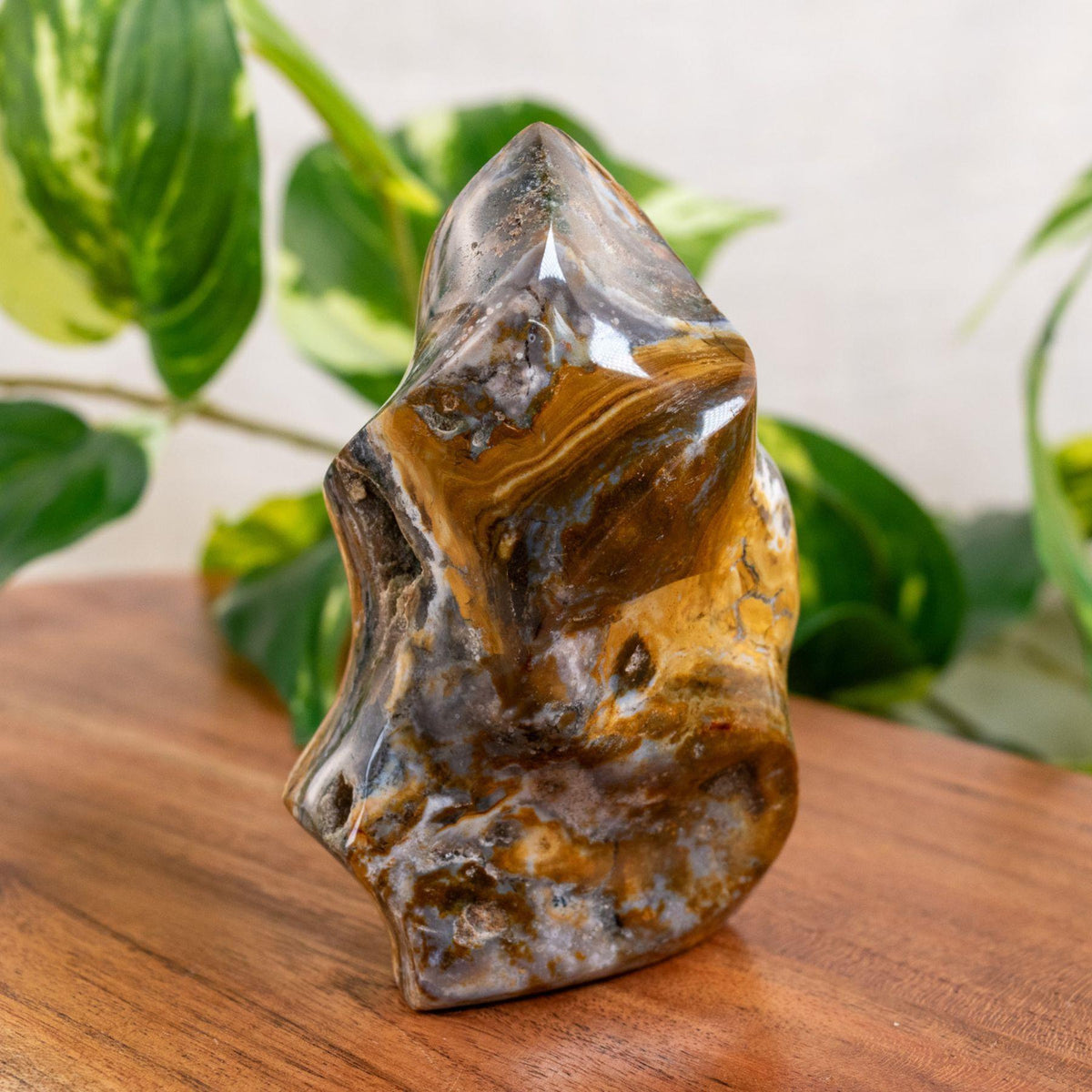 Sea Jasper Flame