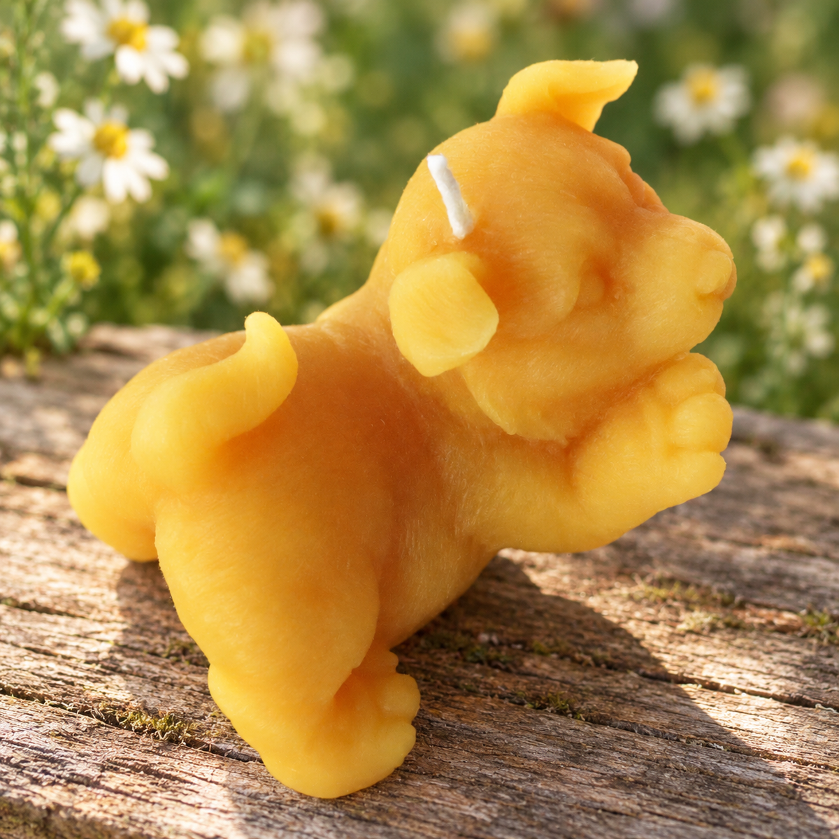 Puppy Dog Giving Paw Beeswax Candle