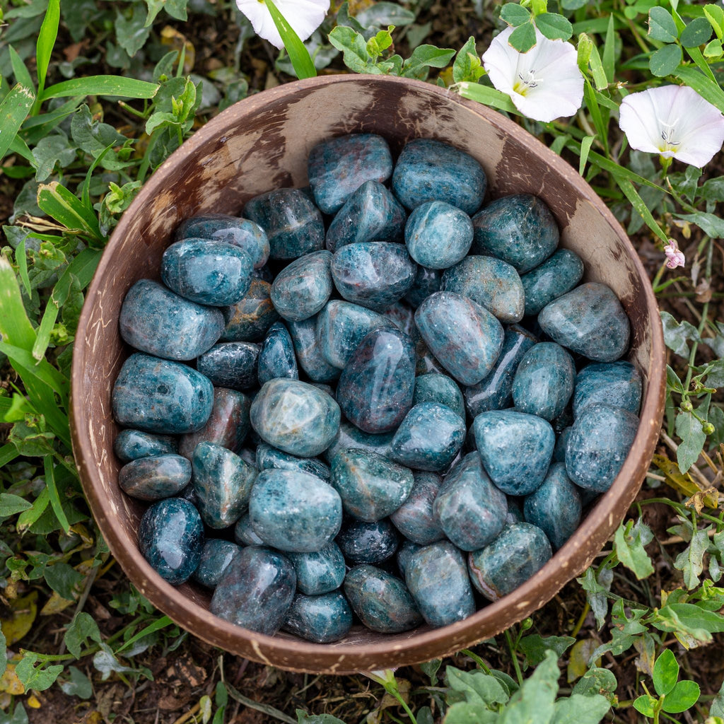 Blue Apatite Tumbled 1lb