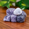 Lepidolite Tumbled 1lb
