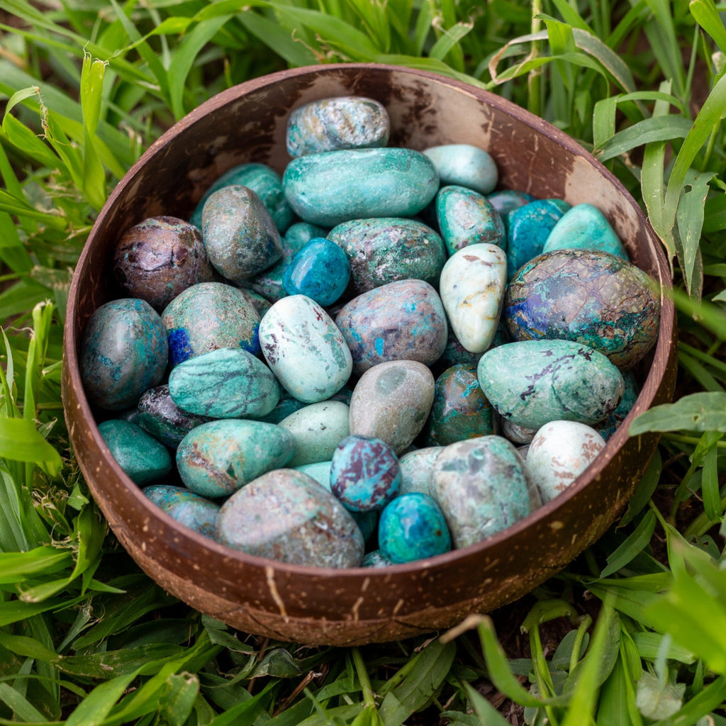 Chrysocolla Tumbled 1lb