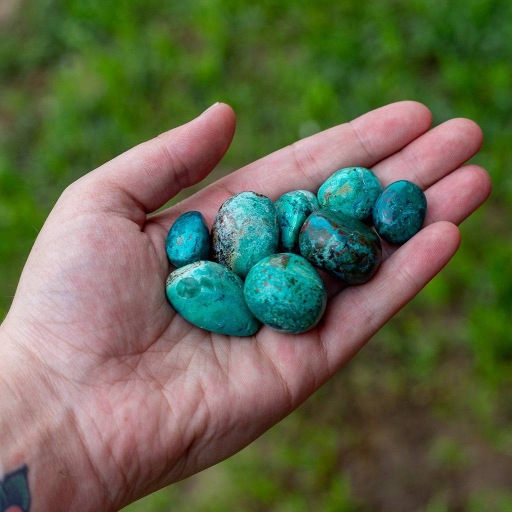 Chrysocolla Tumbled 1lb
