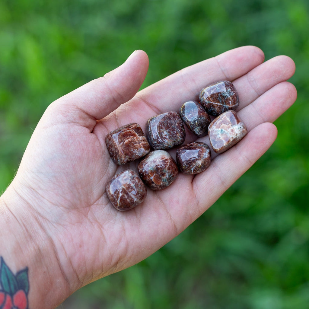 Garnet Tumbled 1lb