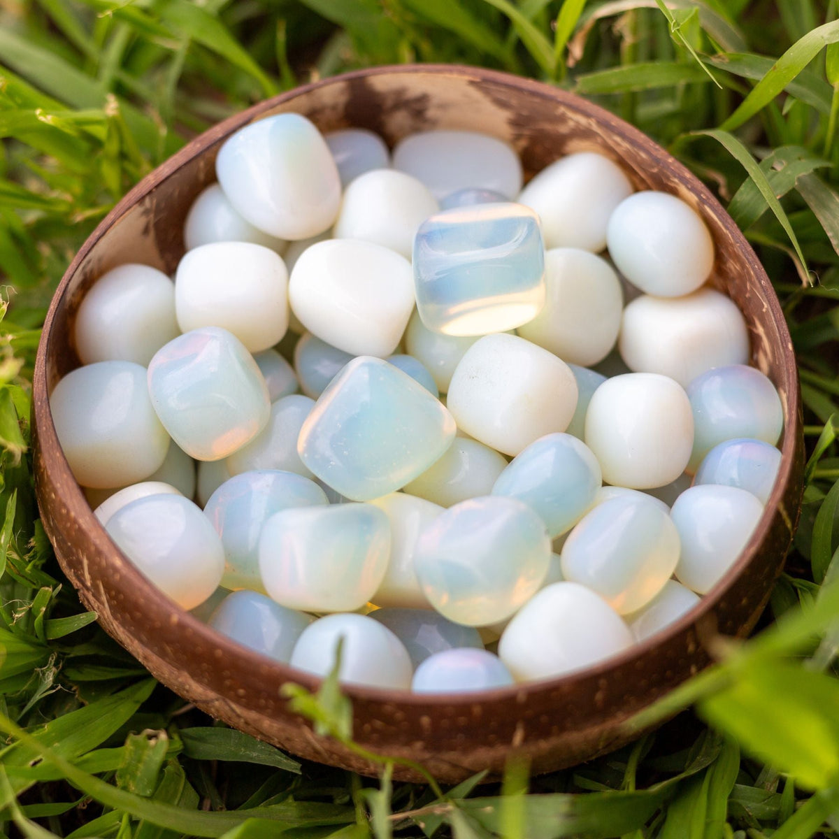 Opalite Tumbled 1lb