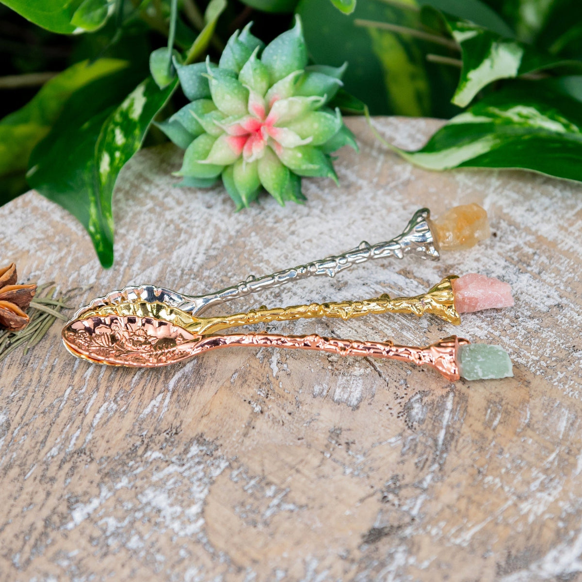 Witch Herb Spoon