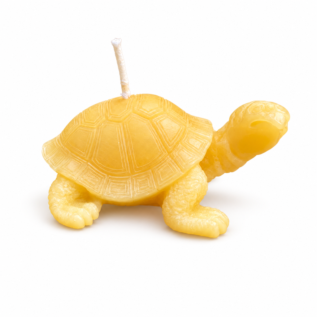 Tortoise Beeswax Candle