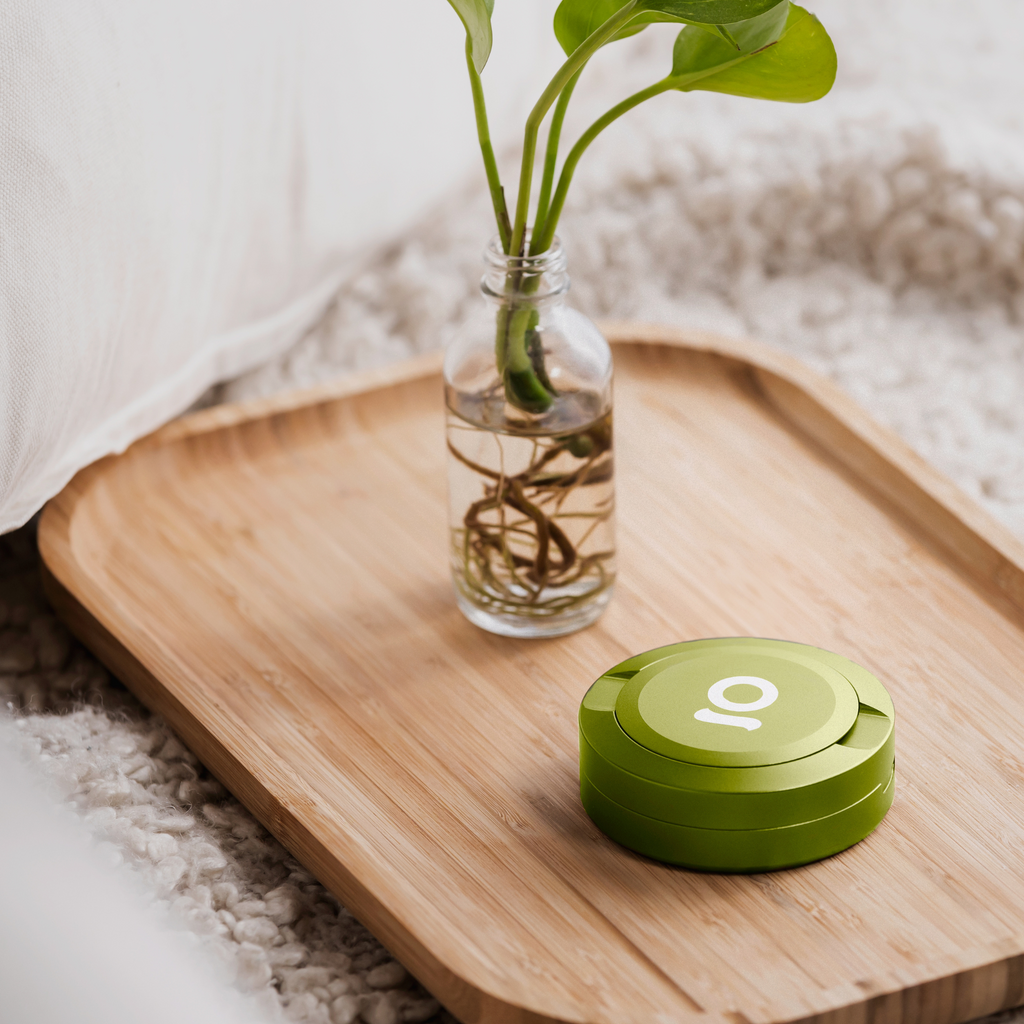 Ongrok - Pouch Storage Puck