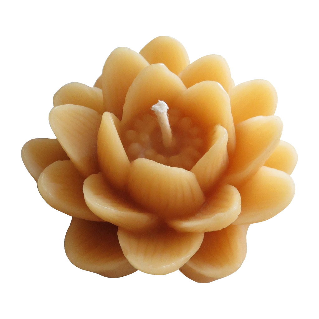 Delicate Lotus Flower Beeswax Candle