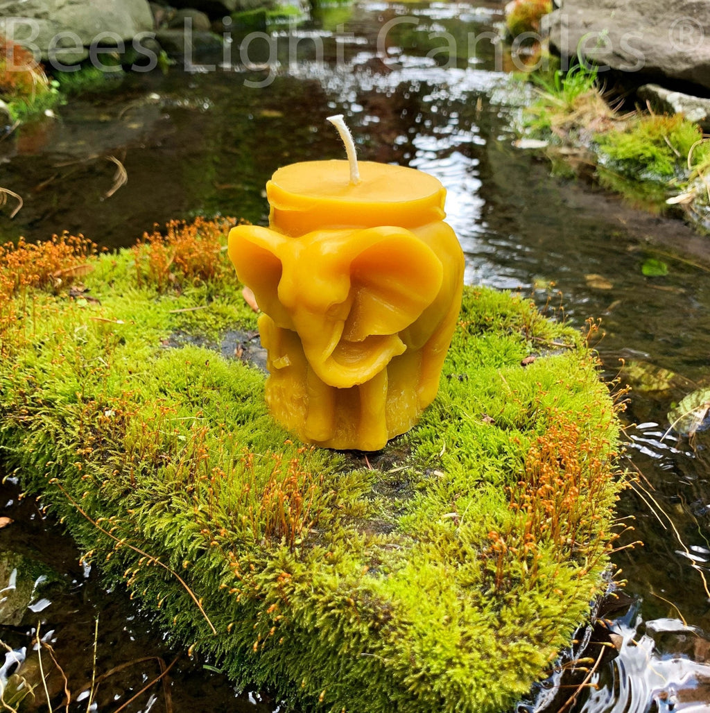 Animal Pillar Beeswax Candles
