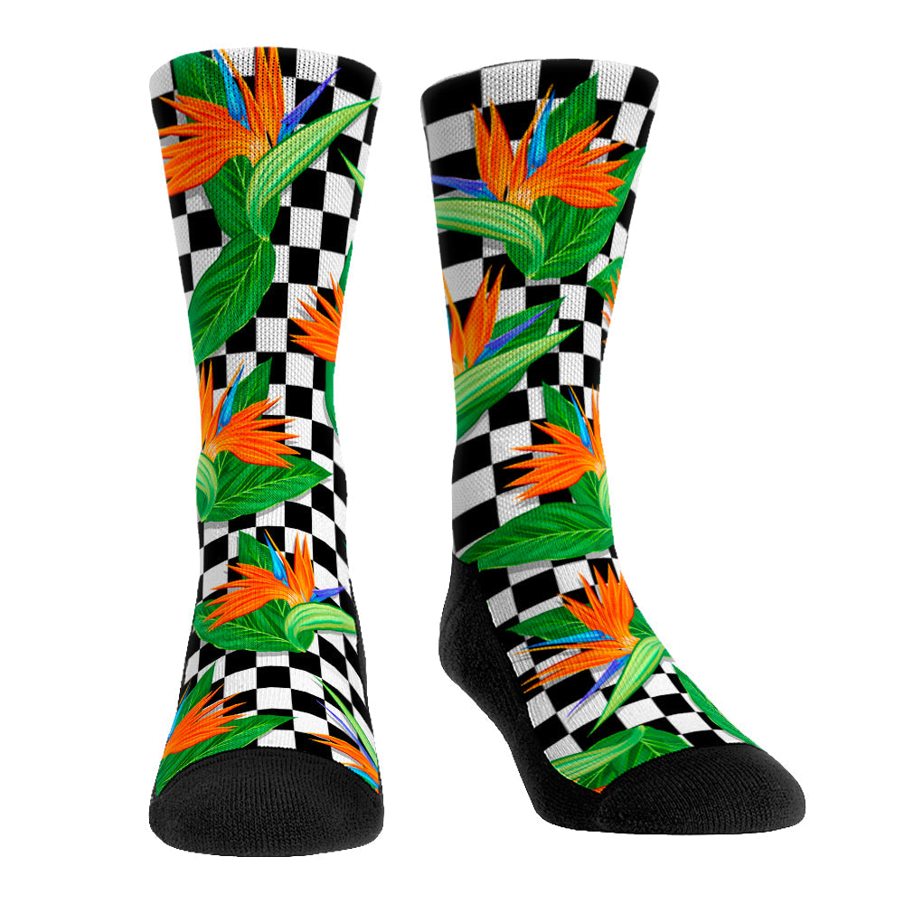 Birds of Checkers