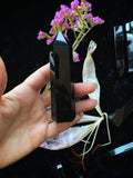 Obsidian Towers
