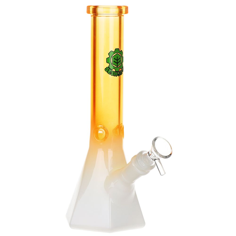 SESHGEAR ~MYSTERYBOX-5