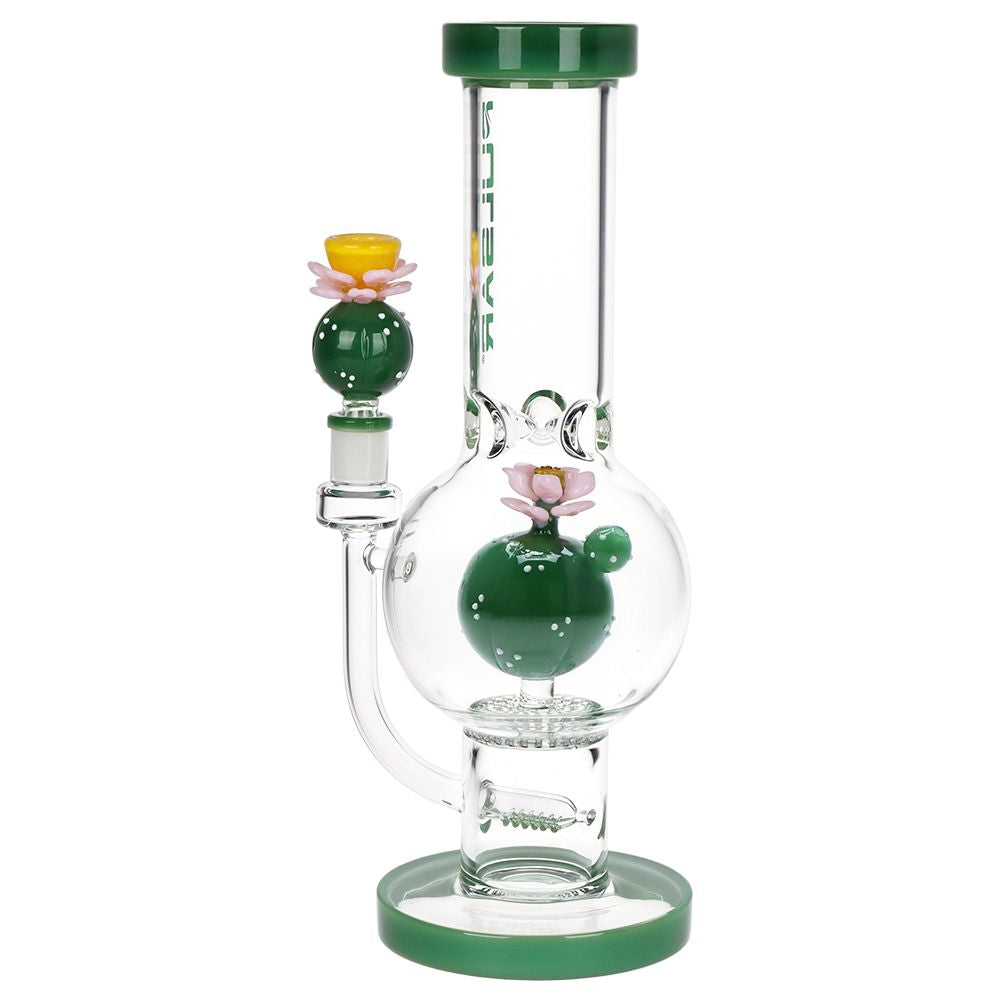 Pulsar ~ Peyote Bloom Bubble Base Glass Water Pipe - 12.25" / 14mm F