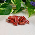 Red Jasper Tumbled 1lb