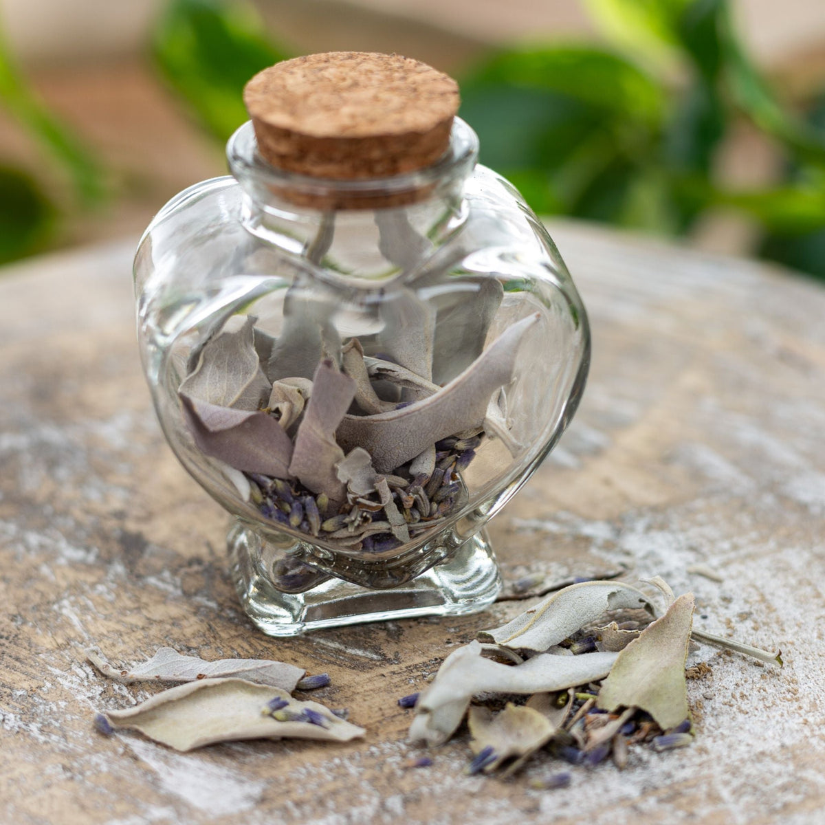 White Sage & Lavender Mix